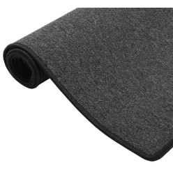 Tapis de couloir Anthracite 50x100 cm