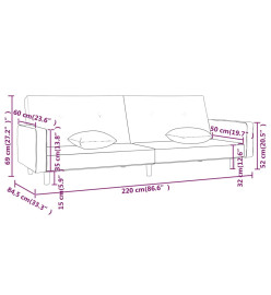 Canapé-lit à 2 places avec deux oreillers Gris foncé Tissu