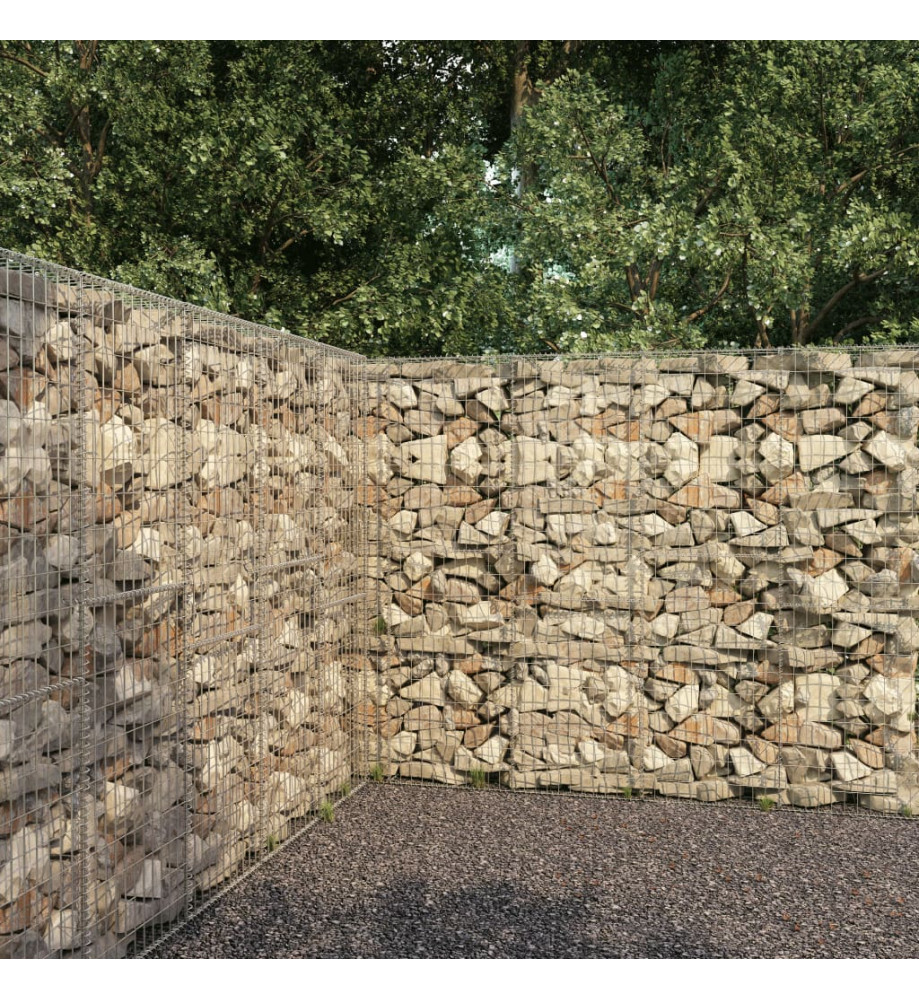 Mur en gabion avec couvercle Acier galvanisé 300 x 50 x 200 cm