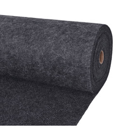 Tapis strié pour exposition 1,2x20 m Anthracite