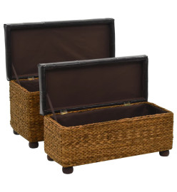 Ensemble de banc 2 pcs Jacinthe d'eau Marron