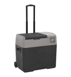 Glacière avec roue et adaptateur noir et gris 30L polypropylène