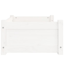 Lit pour chien Blanc 65,5x50,5x28 cm Bois de pin solide