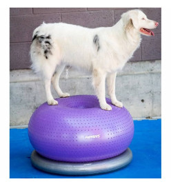 FitPAWS Balle d'équilibre pour animaux de compagnie TRAX Donut 55 cm