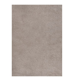 Tapis shaggy à poils longs Beige 120x170 cm