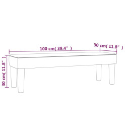 Banc Gris foncé 100x30x30 cm Velours