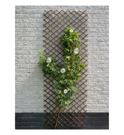 Nature Treillis de jardin 60x180 cm saule naturel marron