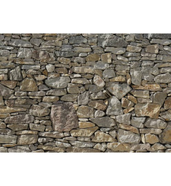 Komar Photo murale Stone Wall 368 x 254 cm 8-727