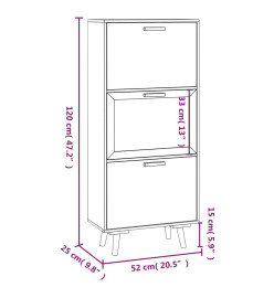 Armoire à chaussures blanc 52x25x120 cm bois d'ingénierie