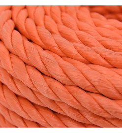 Corde de travail Orange 12 mm 25 m Polypropylène