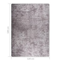 Tapis lavable antidérapant 120x180 cm Gris