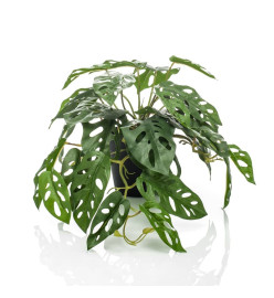 Emerald Buisson Monstera artificiel Monkey 55 cm en pot