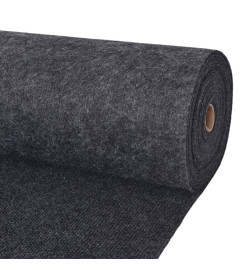 Tapis strié pour exposition 1,2x15 m Anthracite