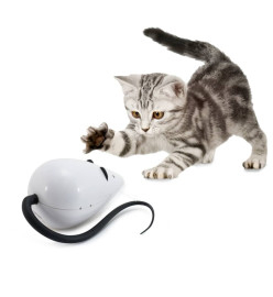 FroliCat Jouet automatique pour chat RoloRat