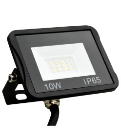 Projecteurs à LED 2 pcs 10 W Blanc froid