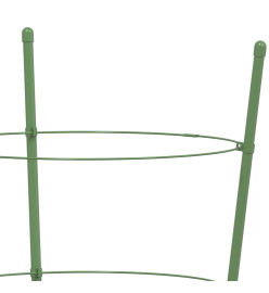 Supports pour plantes de jardin 3 anneaux 5pcs Vert 75 cm Acier