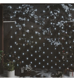 Filet lumineux blanc froid de Noël 3x3 m 306 LED Int/ext