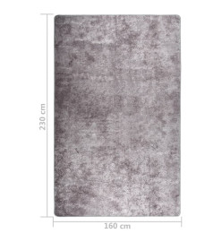 Tapis lavable antidérapant 160x230 cm Gris