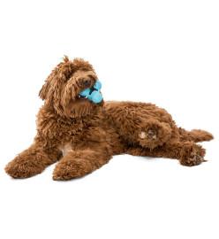 West Paw Jouet pour chiens avec Zogoflex Tux Aqua Bleu S