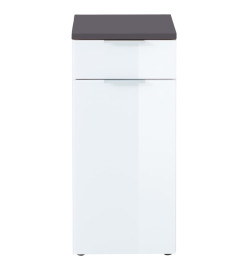 Germania Armoire de sol de salle de bain GW-Pescara Blanc et graphite