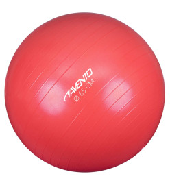 Avento Ballon de fitness/d'exercice Diamètre 65 cm Rose