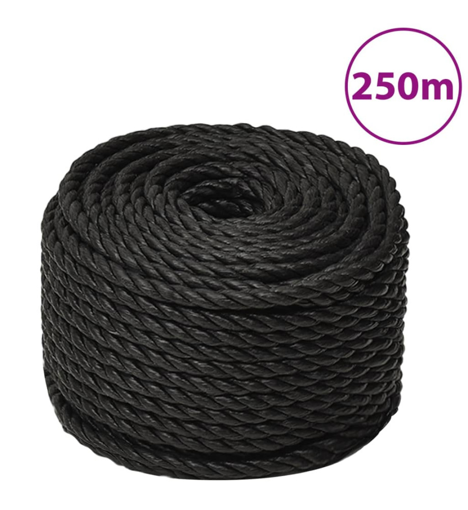 Corde de travail Noir 12 mm 250 m polypropylène