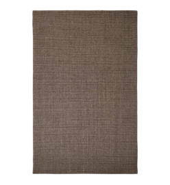 Tapis Sisal naturel 66x100 cm Marron