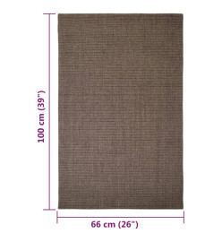 Tapis Sisal naturel 66x100 cm Marron