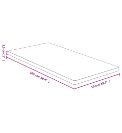 Dessus de table 50x100x2,5 cm bambou