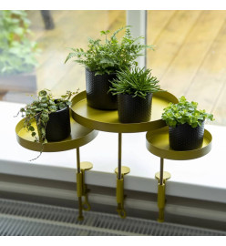 Esschert Design Plateau pour plantes avec pince Rond Doré S