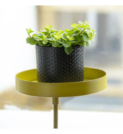 Esschert Design Plateau pour plantes avec pince Rond Doré S