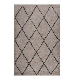 Tapis shaggy à poils longs Beige et anthracite 200x290 cm