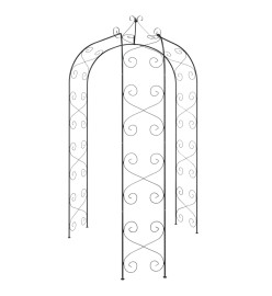 Arche de jardin Noir Ø180x255 cm Acier