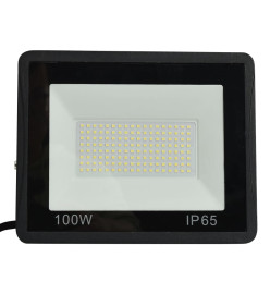 Projecteur à LED 100 W Blanc froid